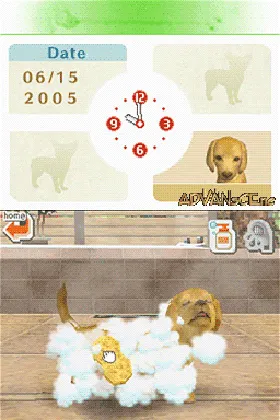 Nintendogs - Dachshund & Friends (USA) screen shot game playing